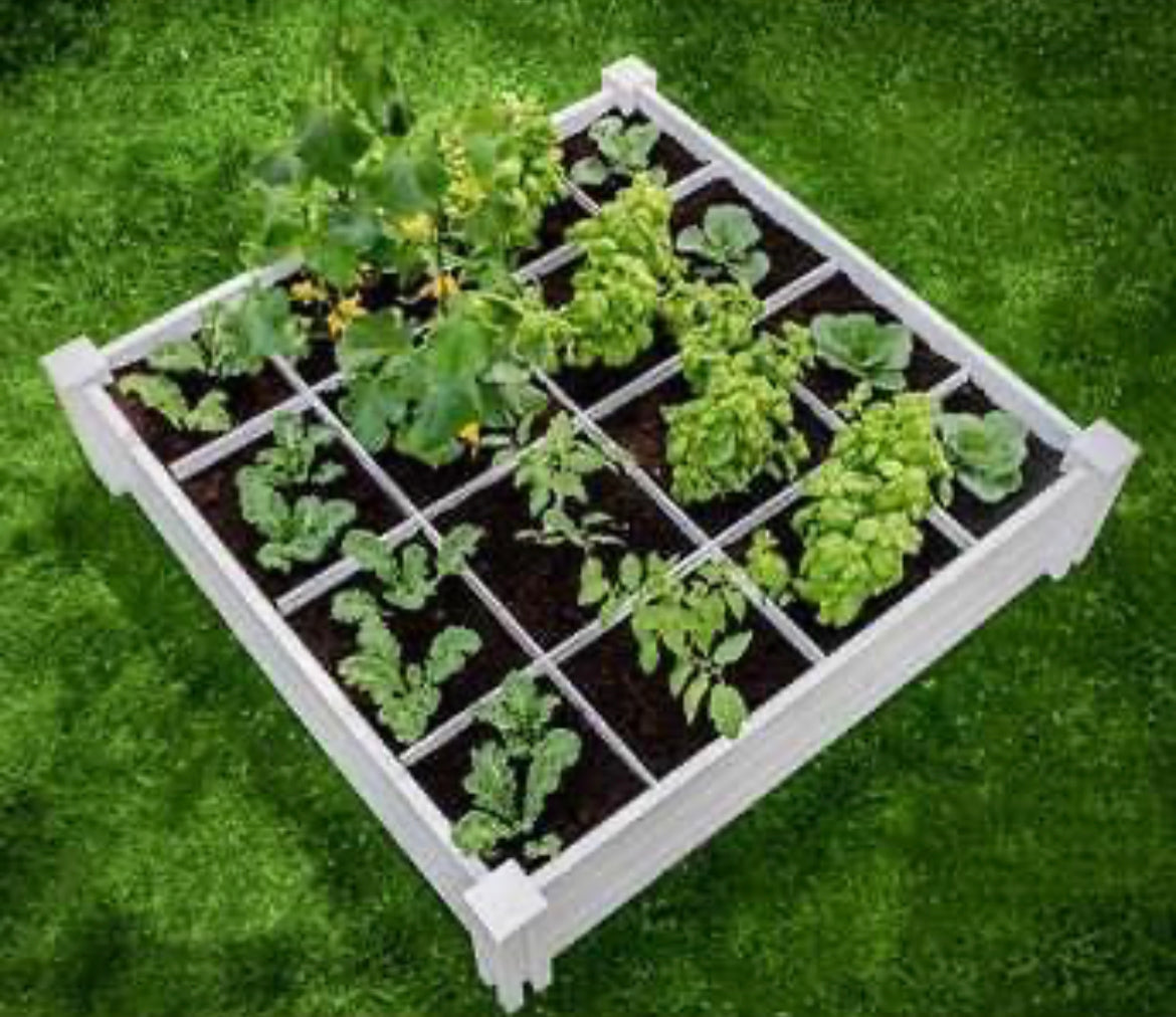 Vita 4'x4'x11" Modular Vinyl Garden with Planting Grid 2-pack