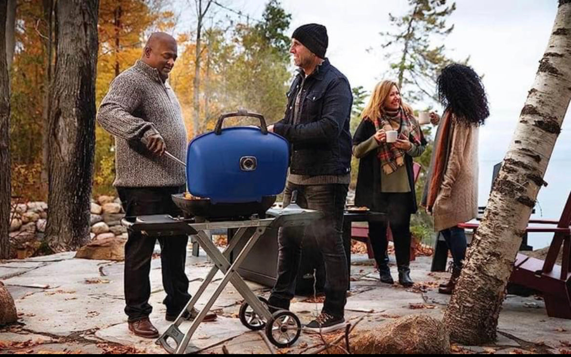 Napoleon TravelQ 285X Propane Portable Grill & Scissor Cart