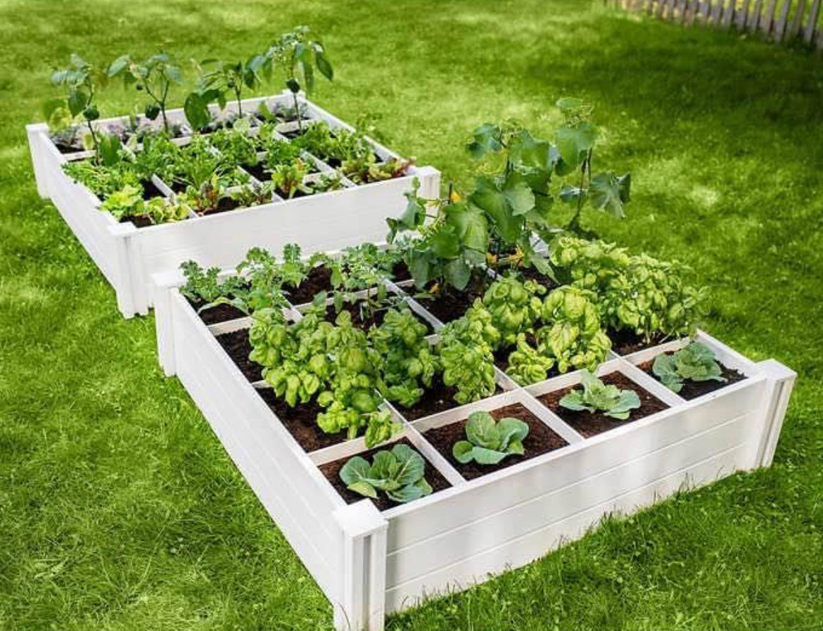 Vita 4'x4'x11" Modular Vinyl Garden with Planting Grid 2-pack