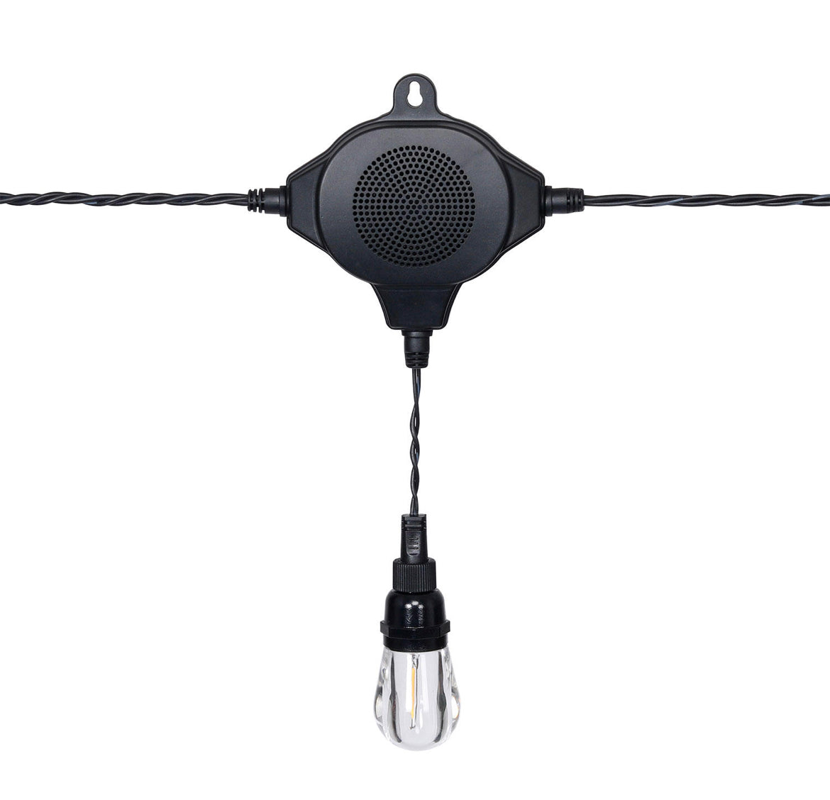 Honeywell LED Indoor/Outdoor 36' String Lights with Bluetooth Speakers