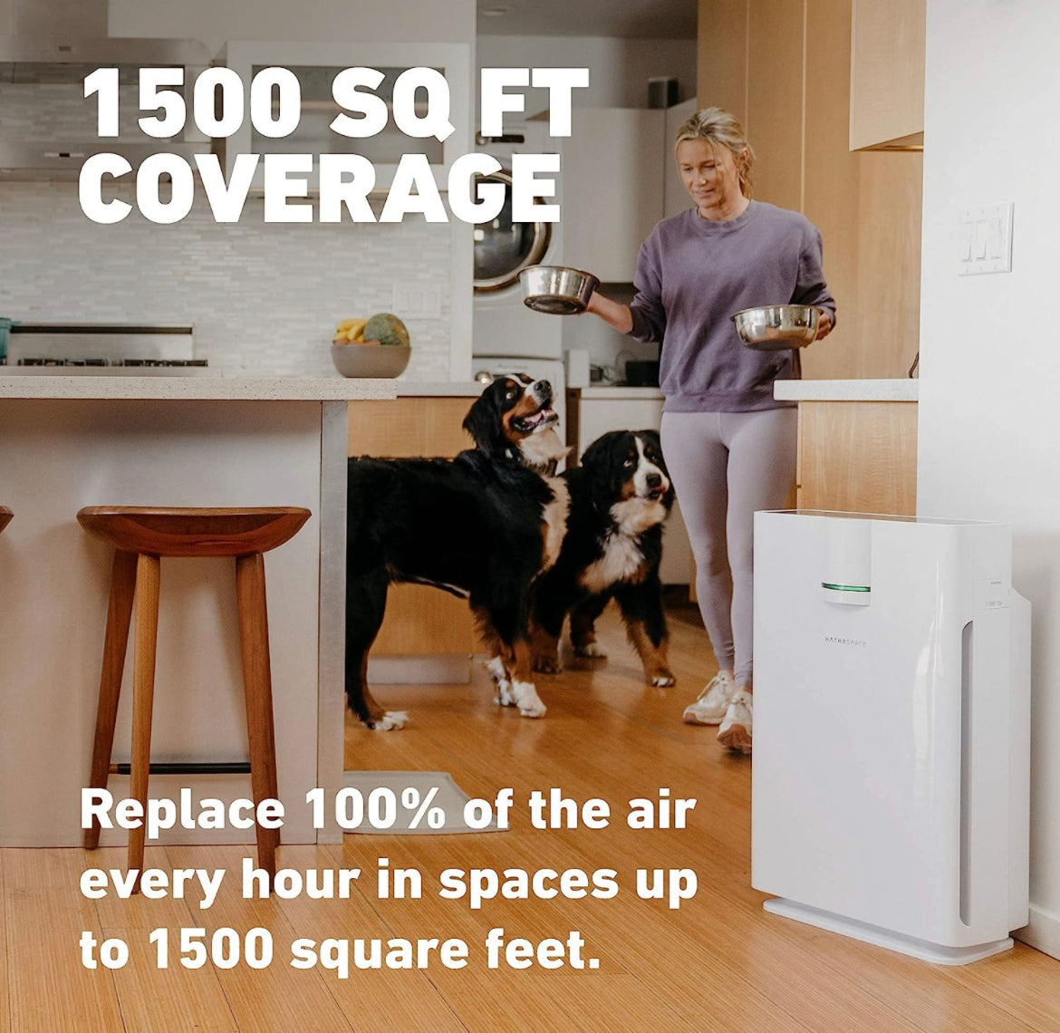 HATHASPACE Smart Air Purifiers for Home, Large Room - HSP002, 2.0 - True HEPA Air Purifier & Filter for Allergen